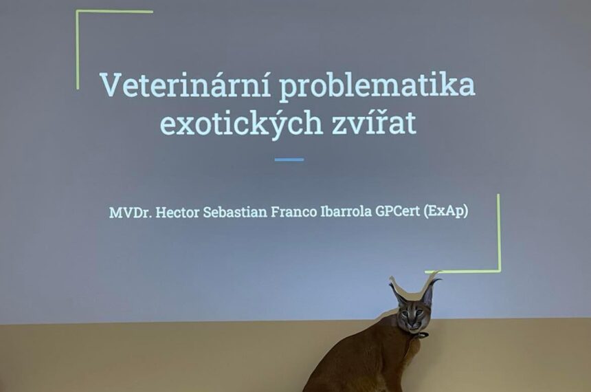 Cyklus přednášek pro PetCenter